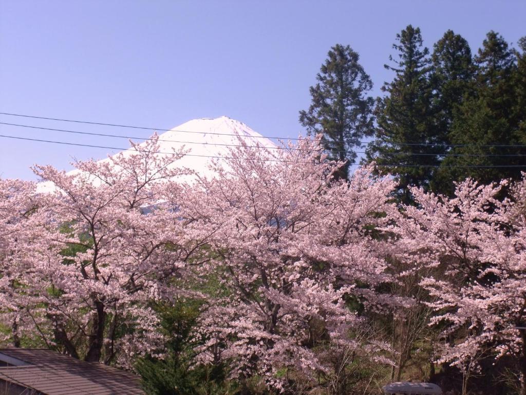 Nishimiyasou Hotel Fujikawaguchiko Exterior photo